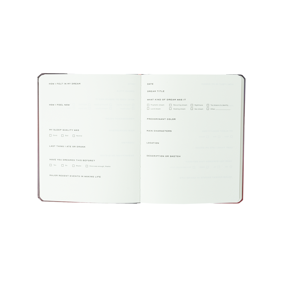 Girl Of My Dreams - Fletcher's Dream Journal Inside